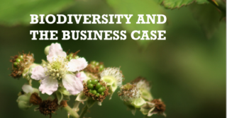 Image of white blossoms on green leafy background with texts that says biodiversity and the business case
