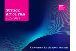 BITCI Strategic Action Plan