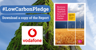 Incorporating sustainability at board level with Vodafone