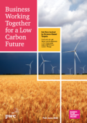 Low carbon pledge