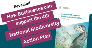 Image of 4th National Biodiversity Action Plan